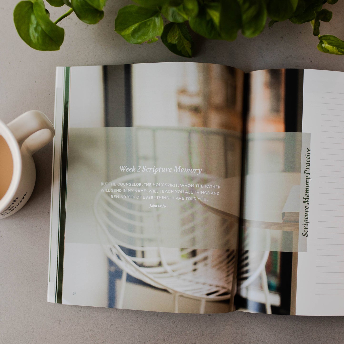 The Daily Grace Co - Faith Foundations | A Study on the Basics of Christianity -