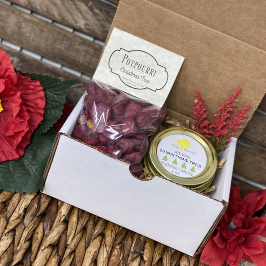 Christmas Gift Boxes: HollyBerry